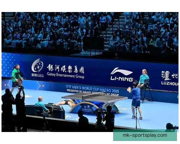 2026世界杯赛场风采全览城市魅力与赛事亮点解析